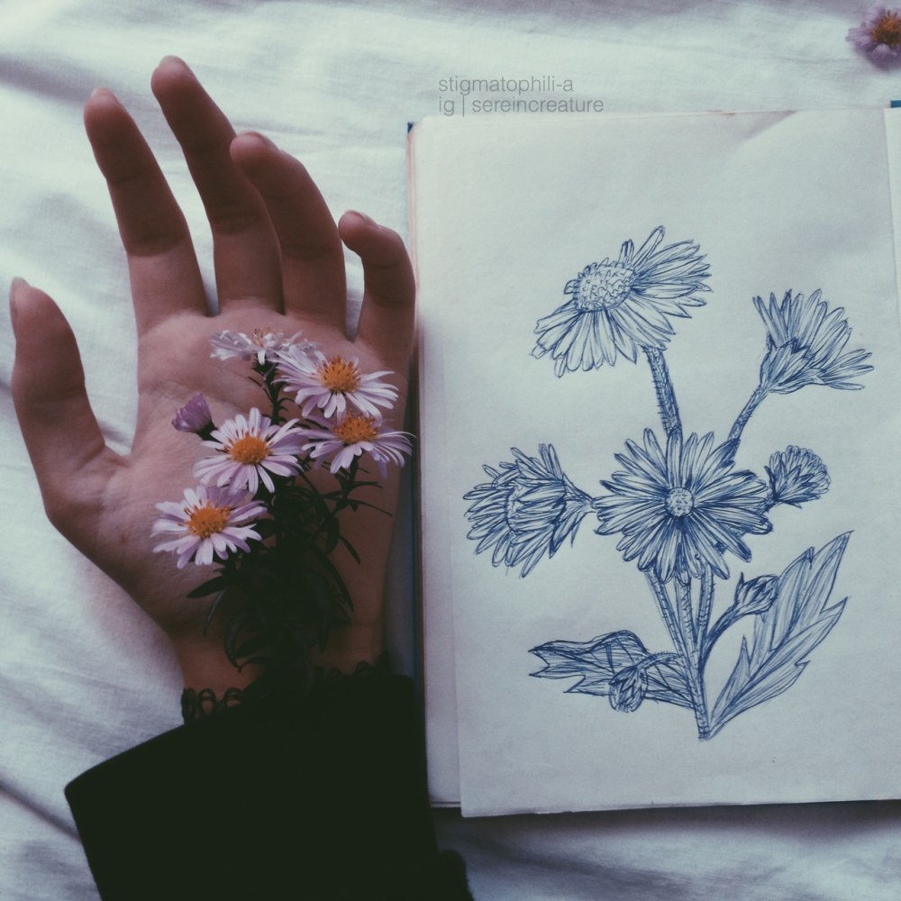 Рисование Эстетика