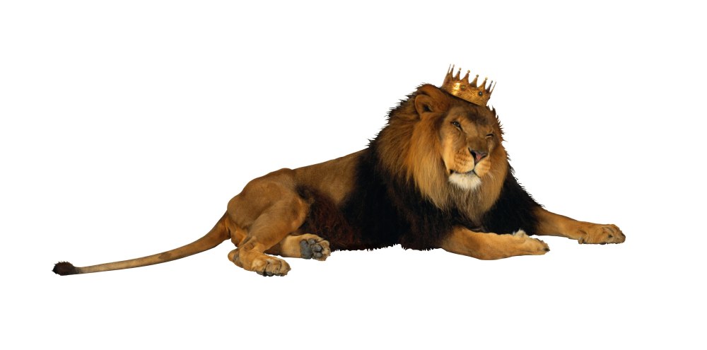 Король Лев Муфаса
