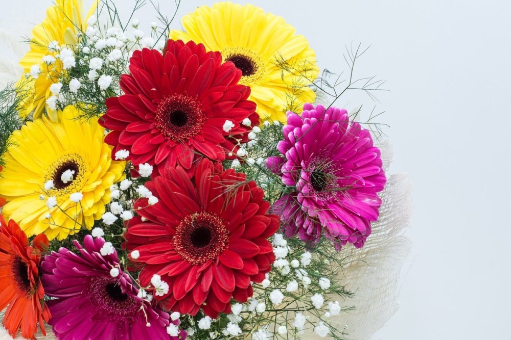 Gerbera Daisy Bouquet