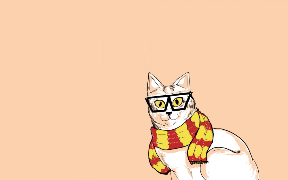 Котик на однотонном фоне