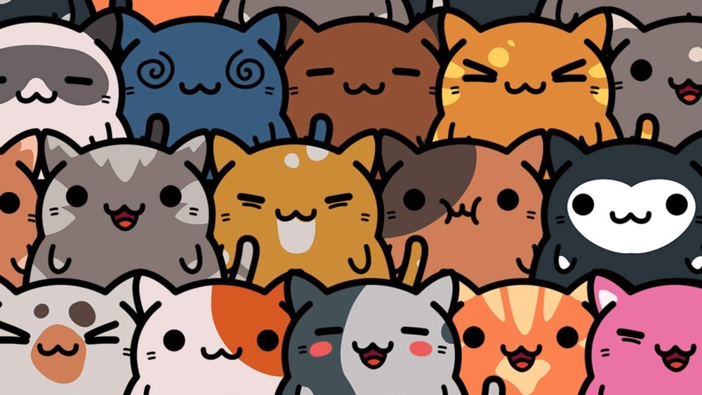 Кошка на однотонном фоне