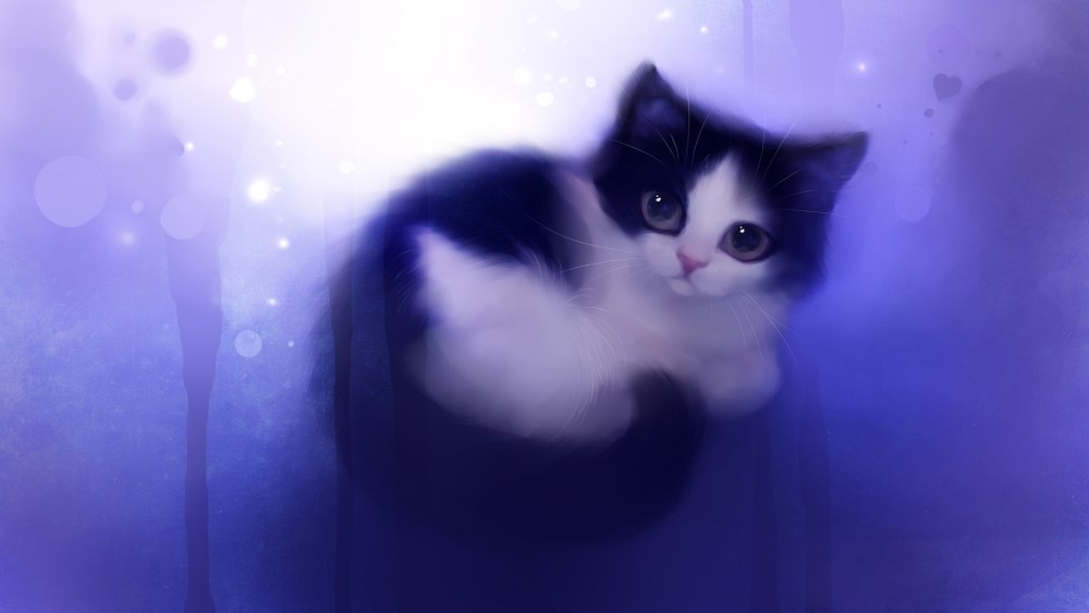 Котик Минимализм