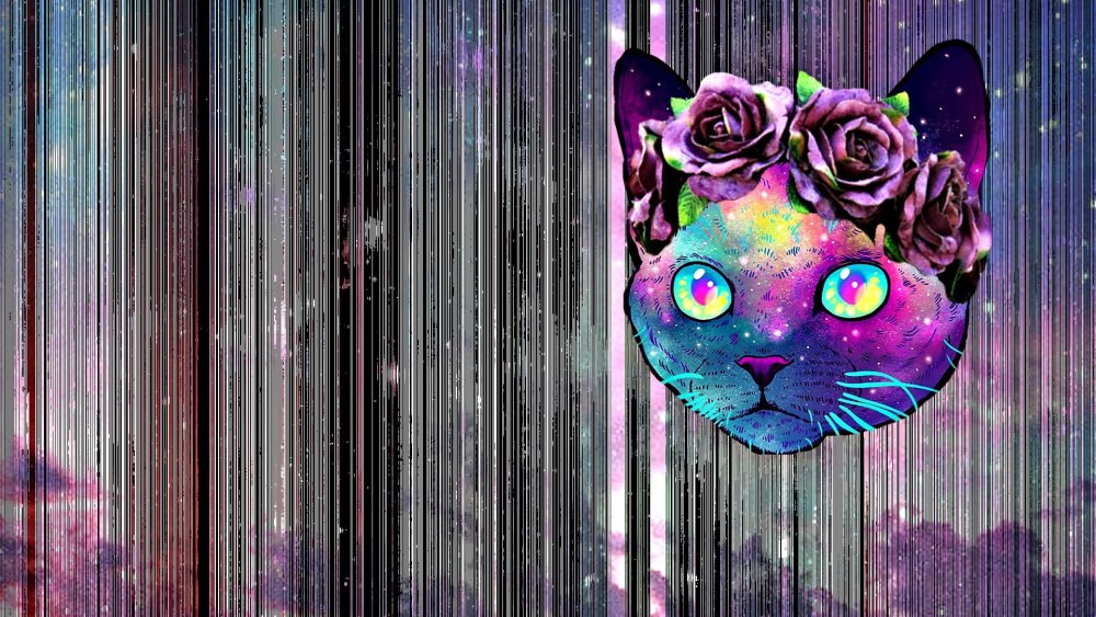 Черный котик арт