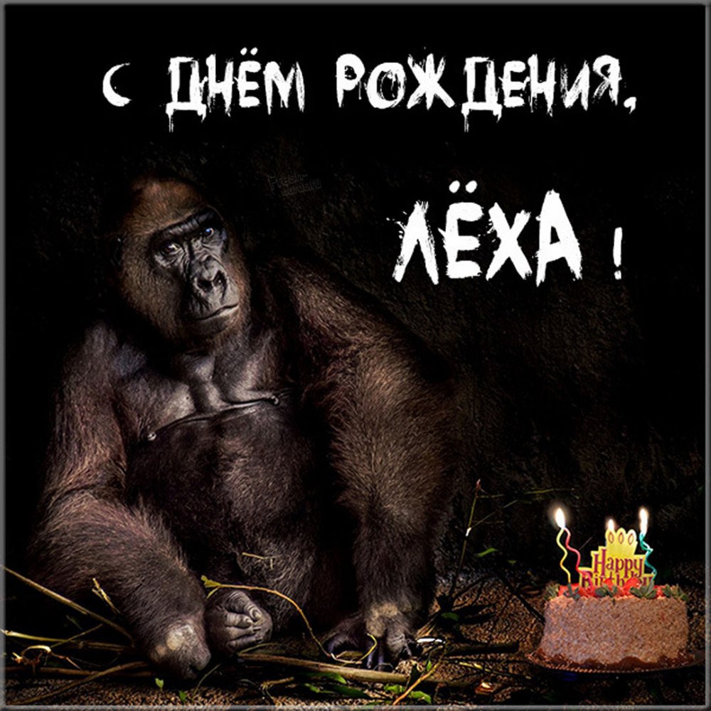 Поздравления с днём рождения Алеше