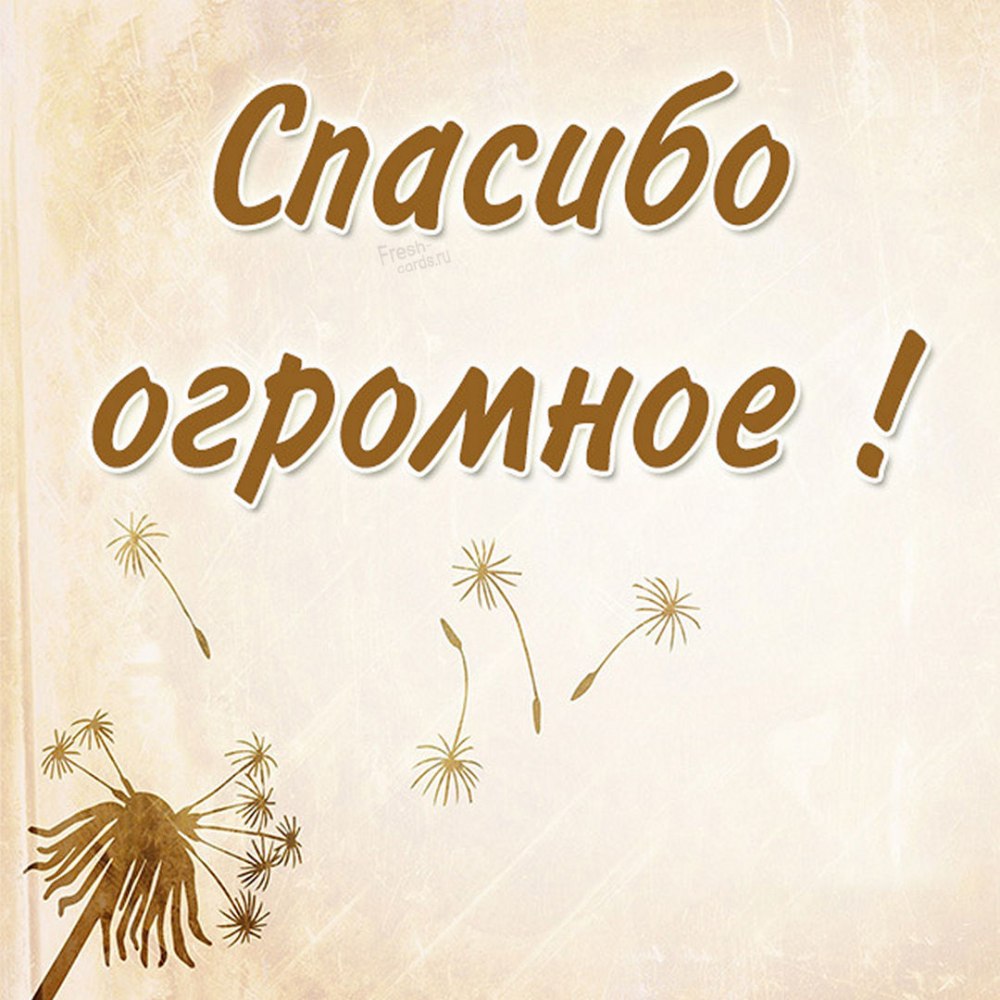 Картинка хуя со словом спасибо