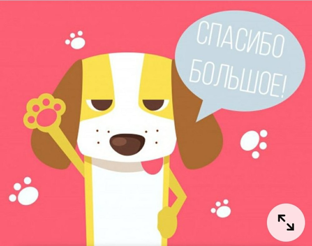 Спасибо от собачки
