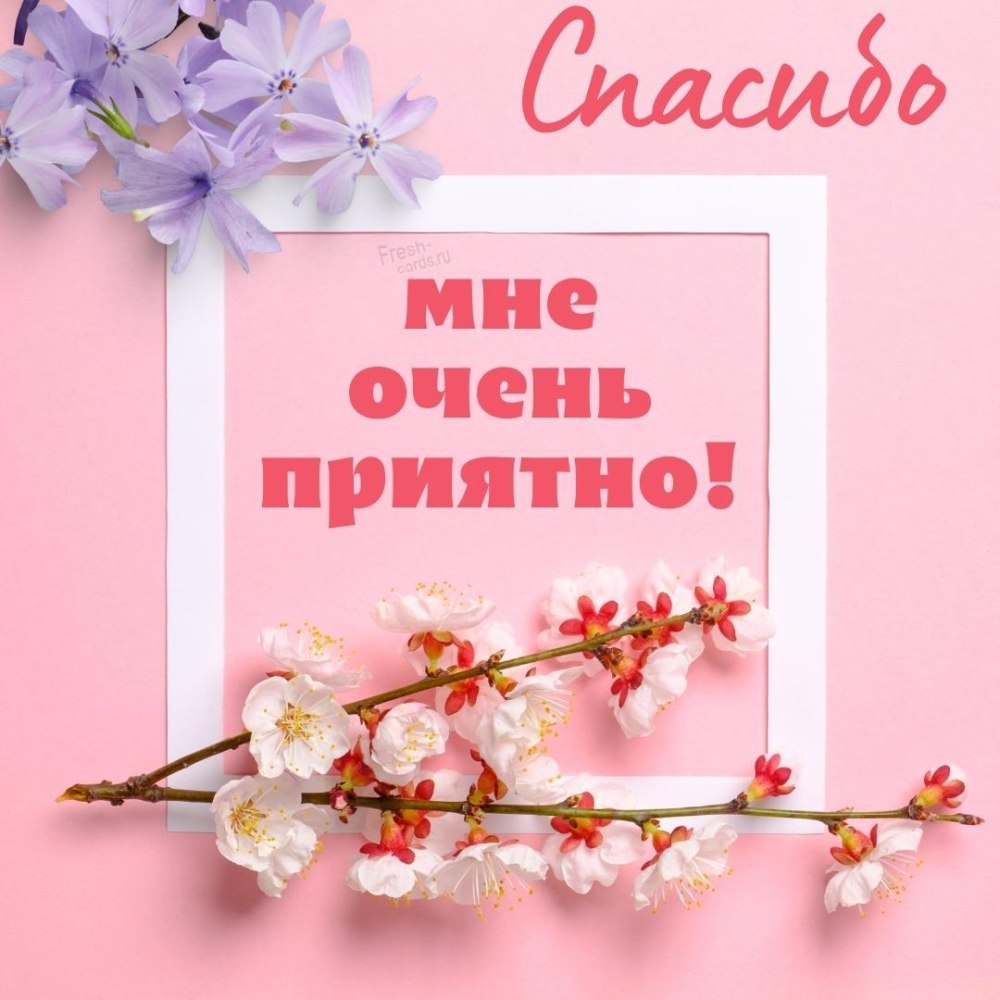 Благодарность картинки