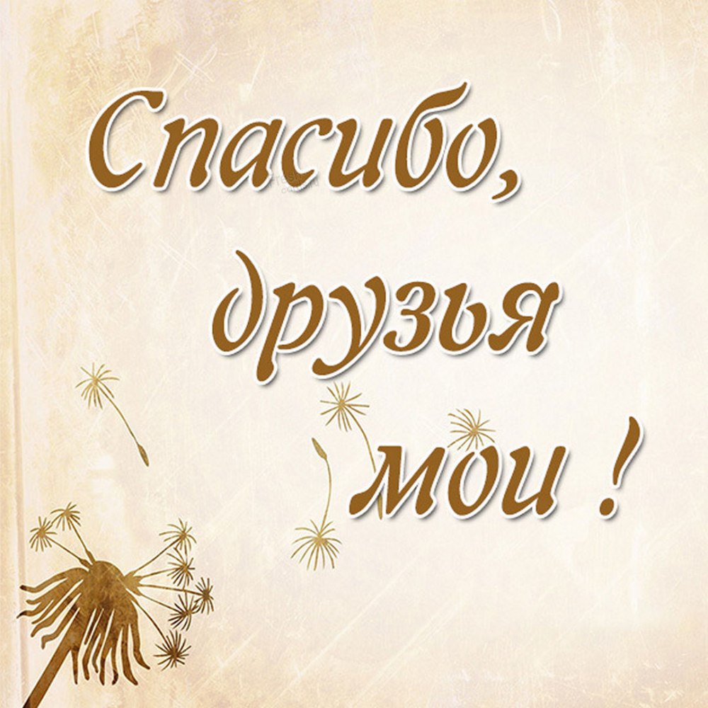Открытка спасибо Новосибирск