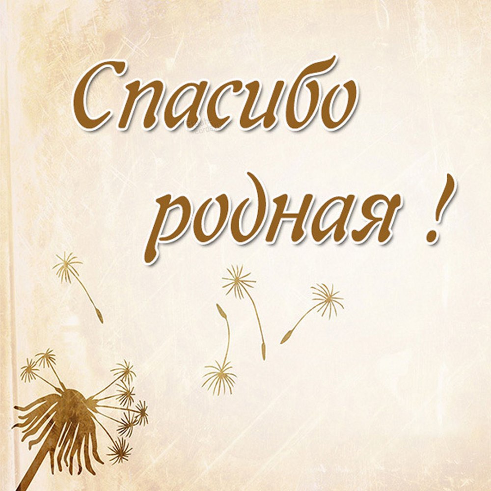 Сердечное спасибо