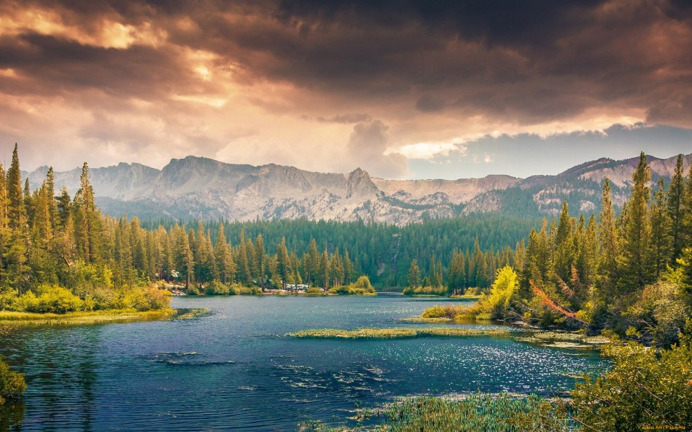 Панорама лес реки озера горы