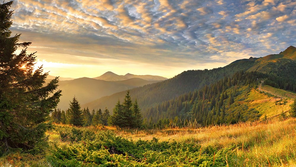 Украина природа