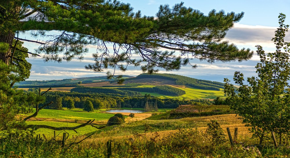 Пейзаж панорама