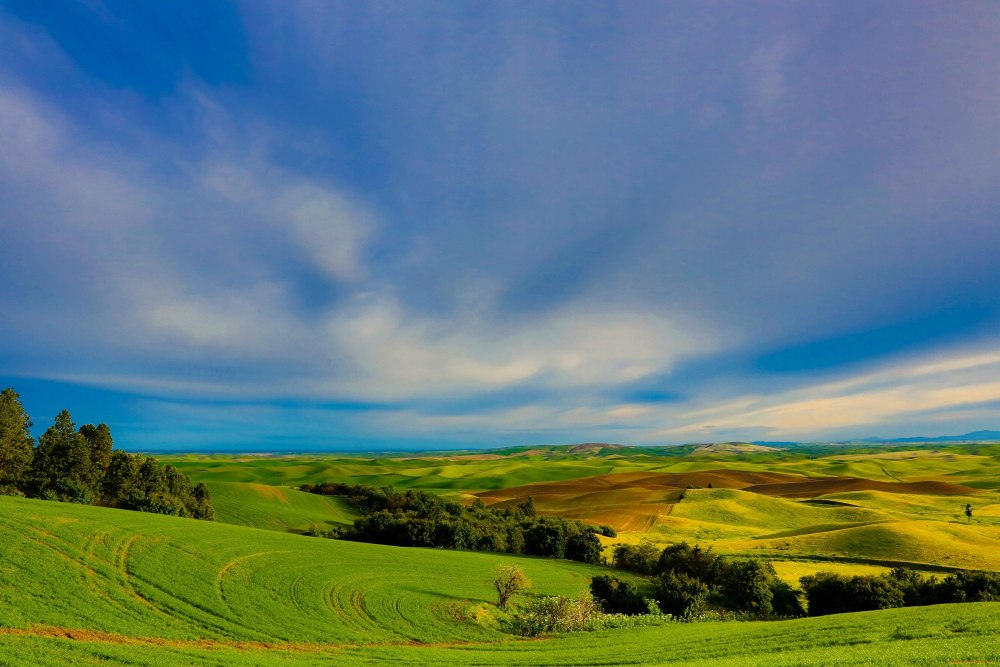 Пейзаж панорама