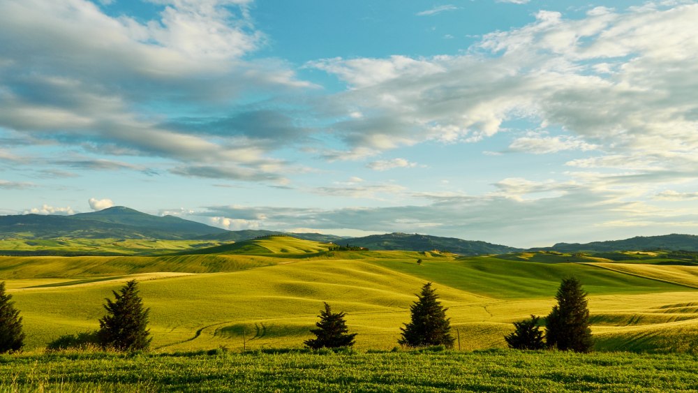 Пейзаж панорама