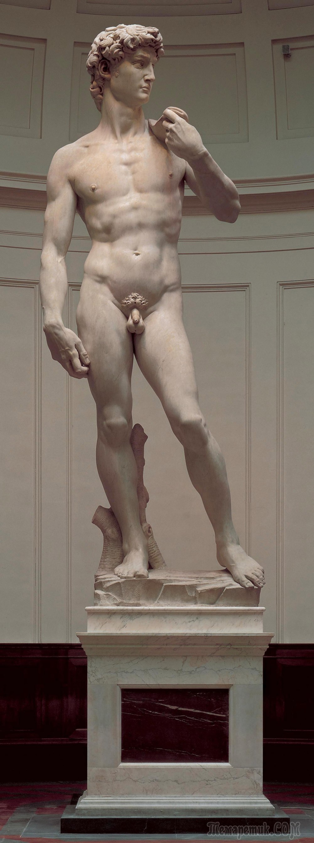 Микеланджело Apollo