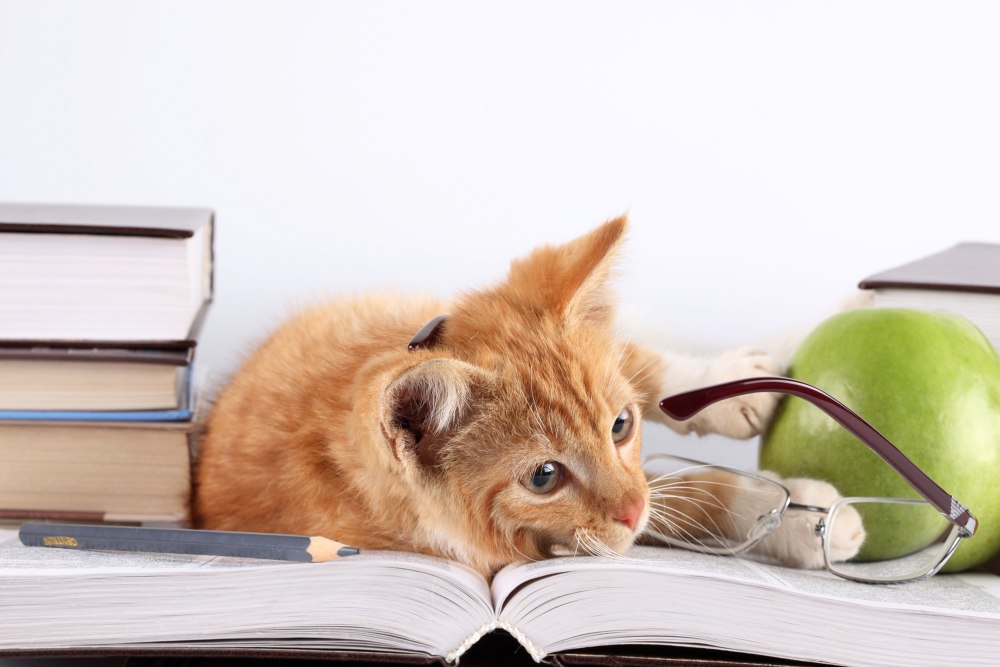 Красивые книги