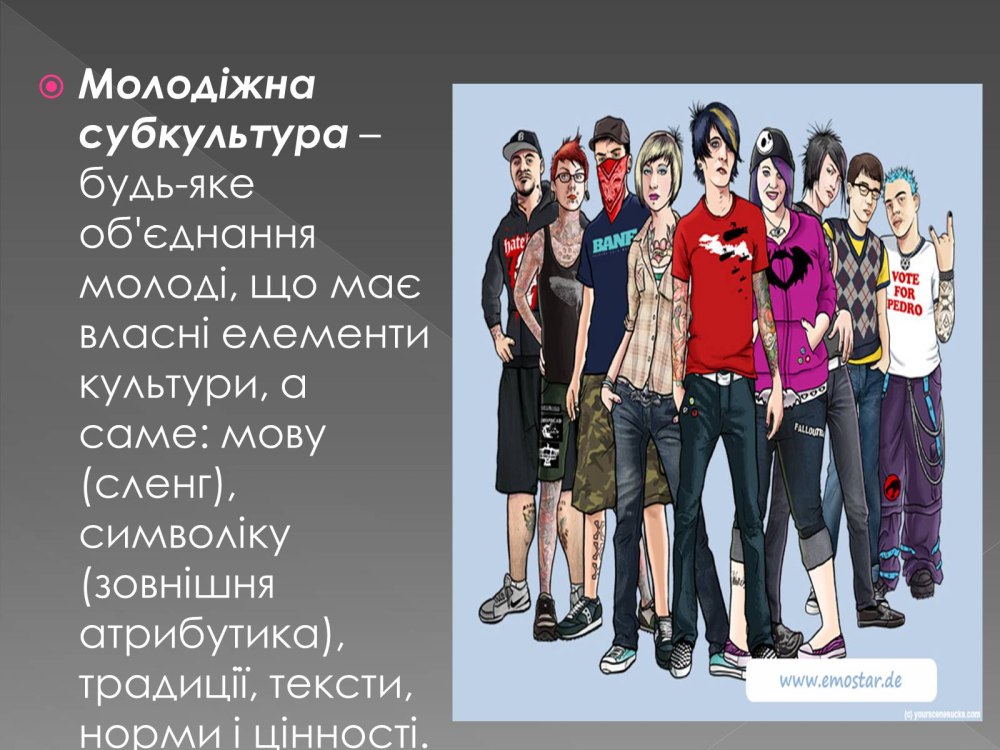 Субкультура это общность людей чьи