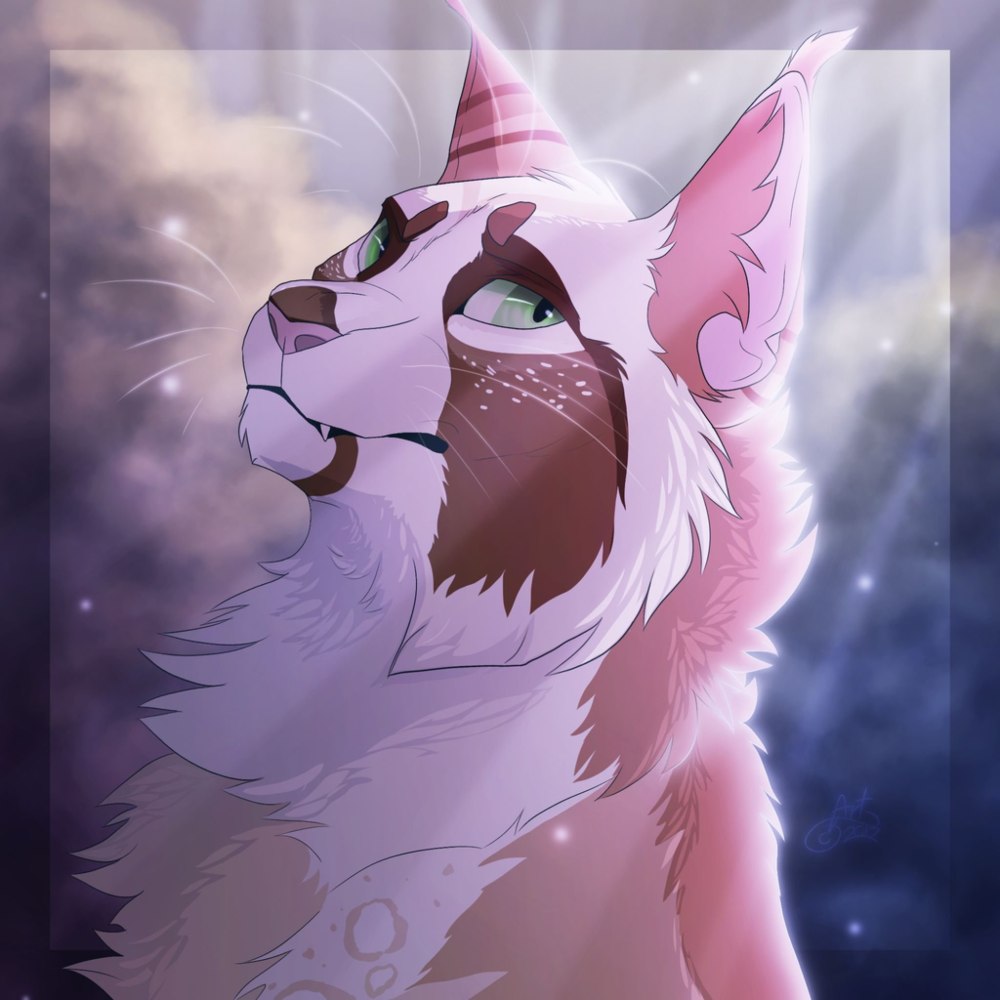 DEVIANTART коты Воители