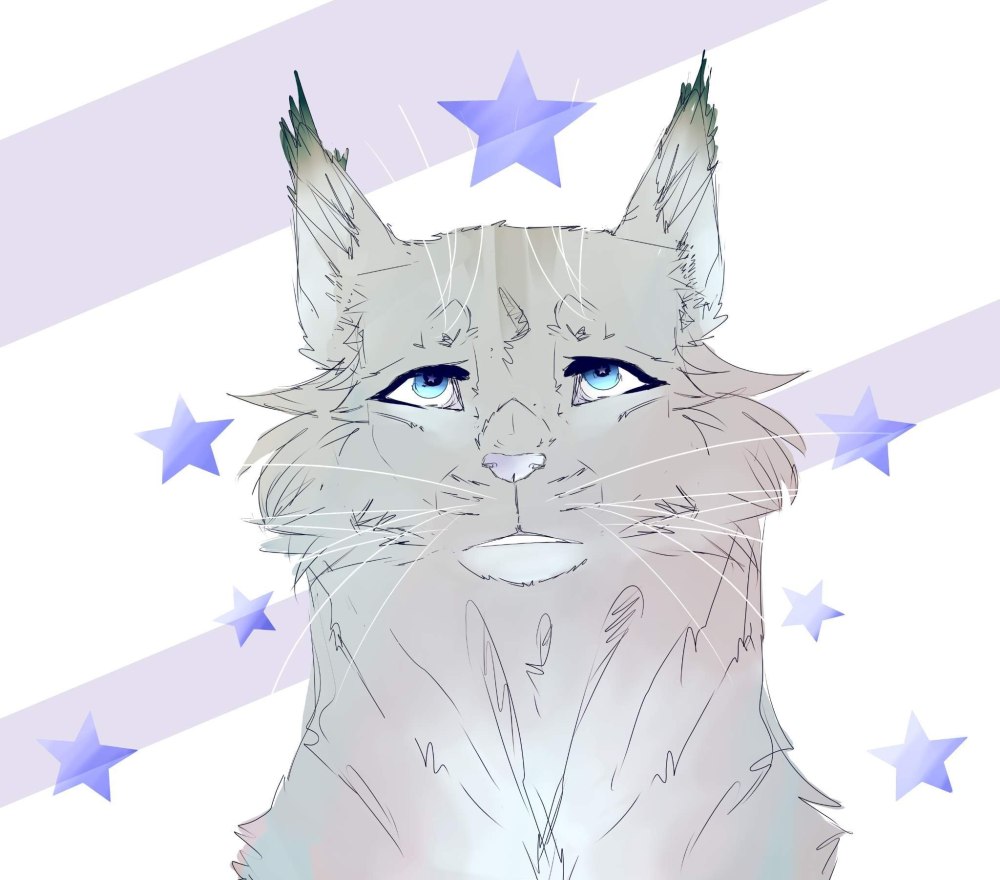 Коты Воители арты