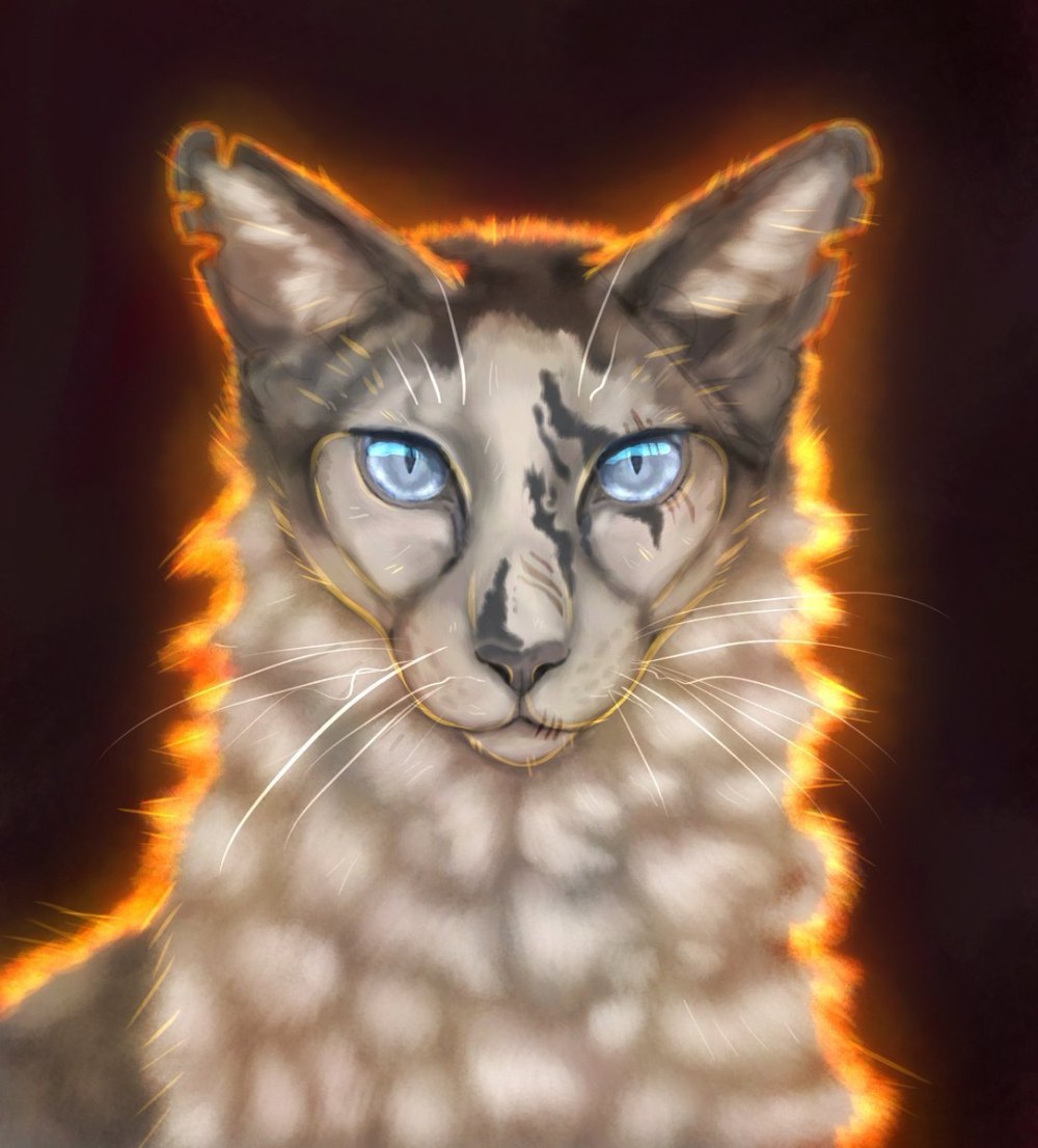 Коты Воители Моховушка