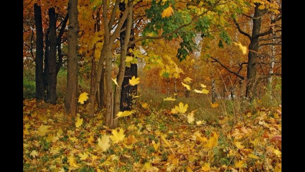 Осенний пейзаж пастелью