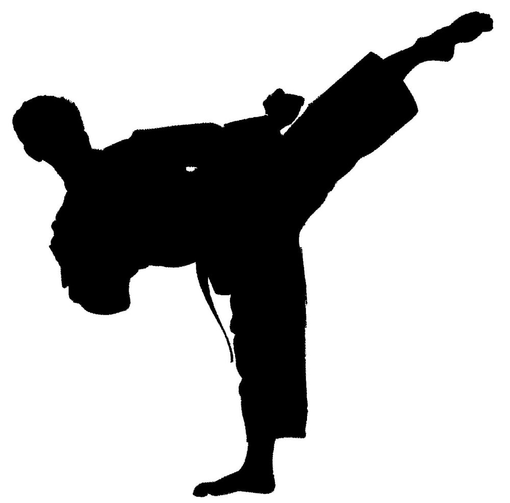 Karate Kyokushin silhouette