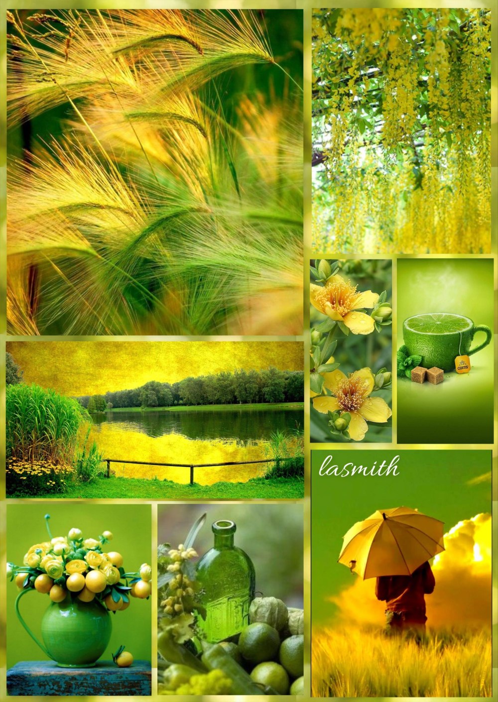 Коллаж природа