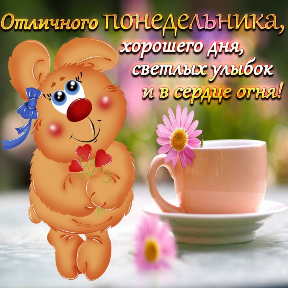 С добрым утром понедельника