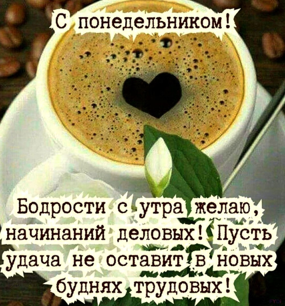 Открытки с добрым утром понедельника