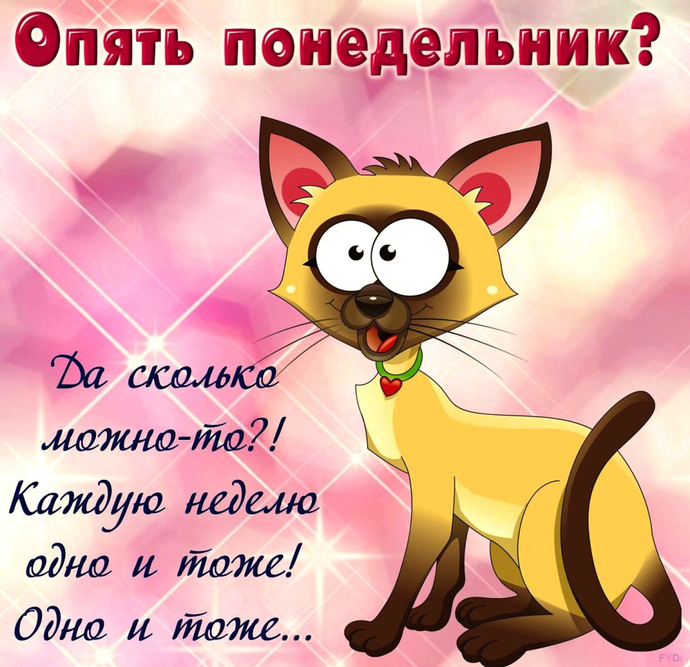 Поздравление с понедельником