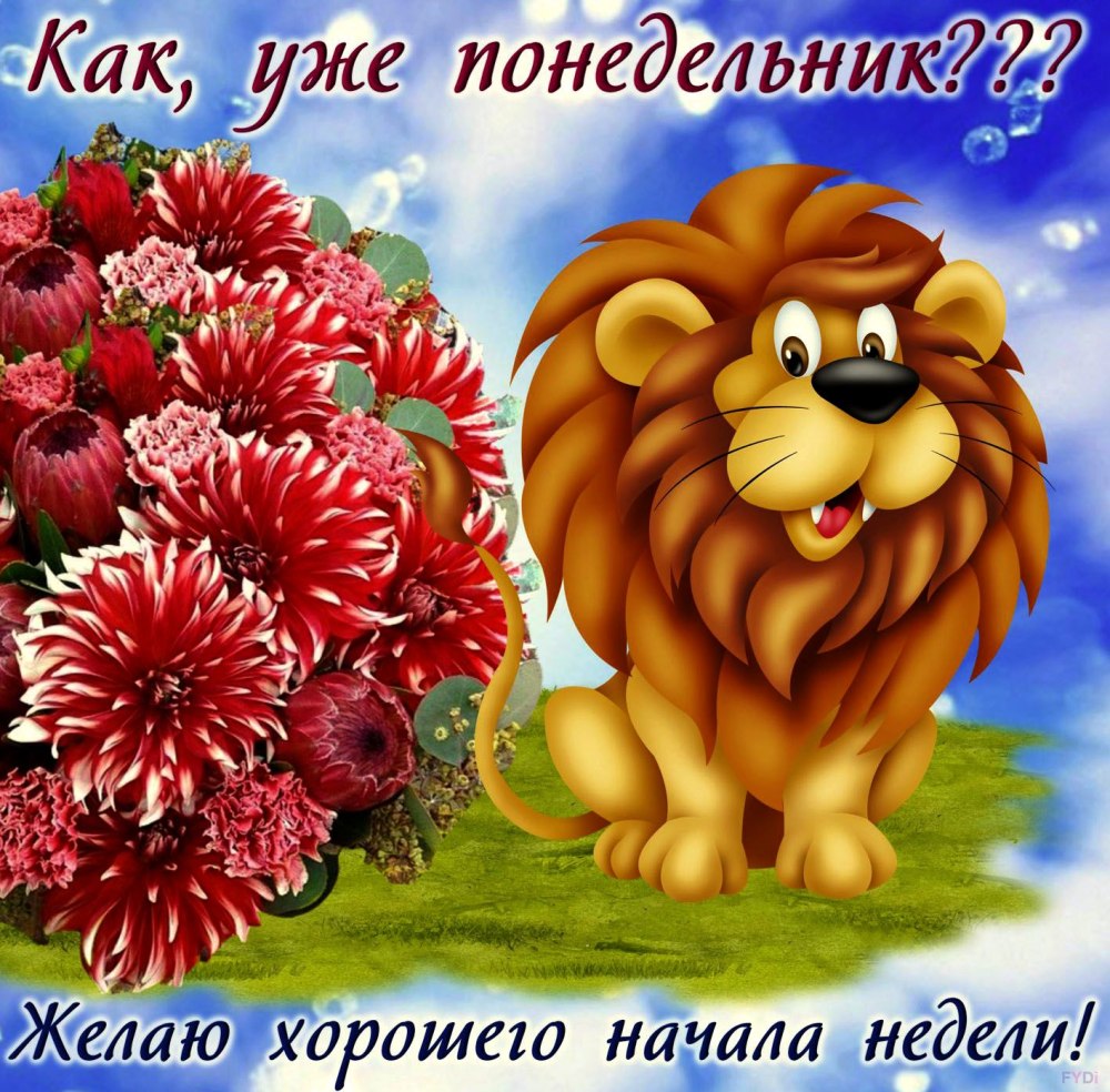 Открытки с добрым утром понедельника прикольные