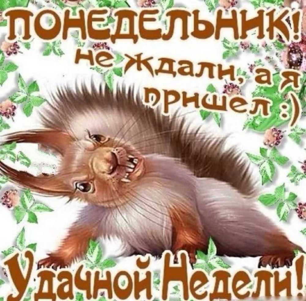 Открытки с понедельником
