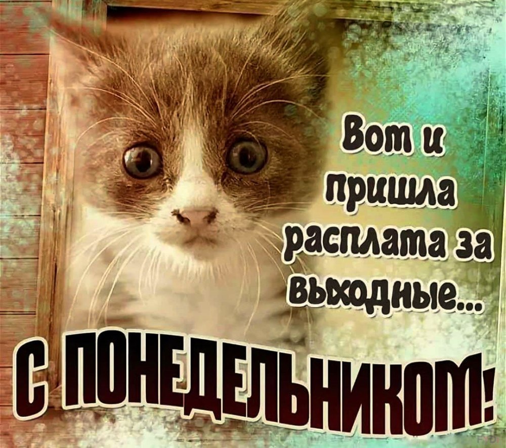Поздравление с понедельником прикольное