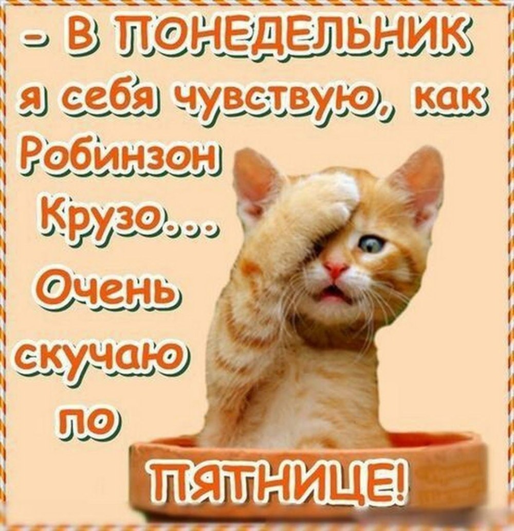 Веселые пожелания на понедельник