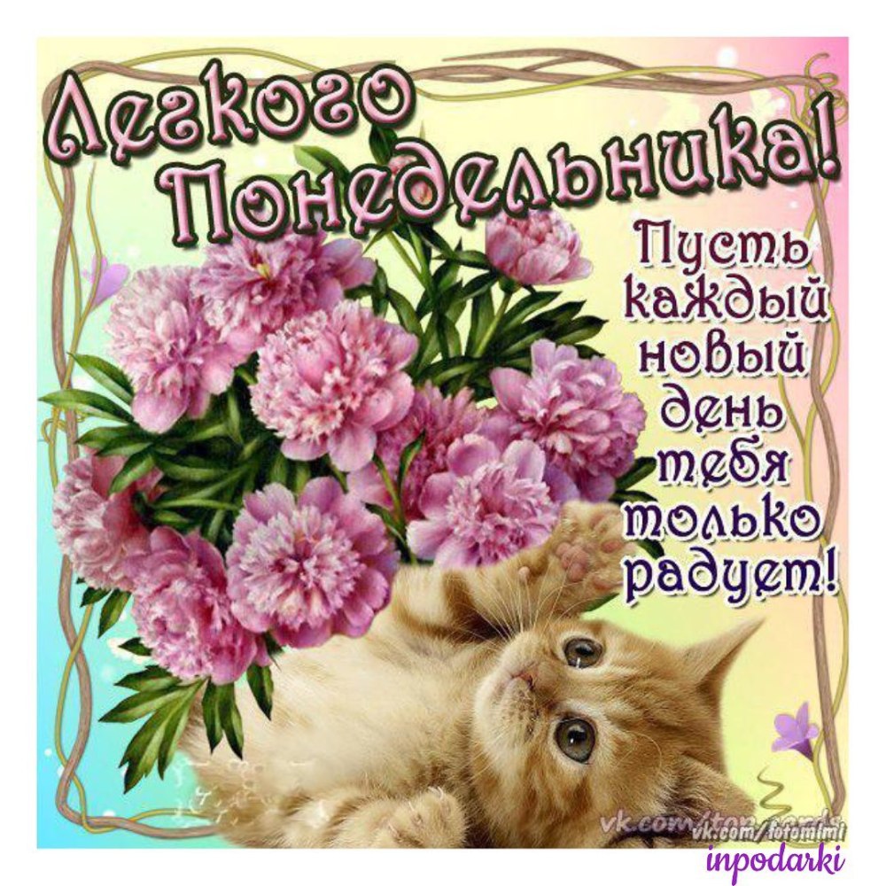 С добрым утром понедельника