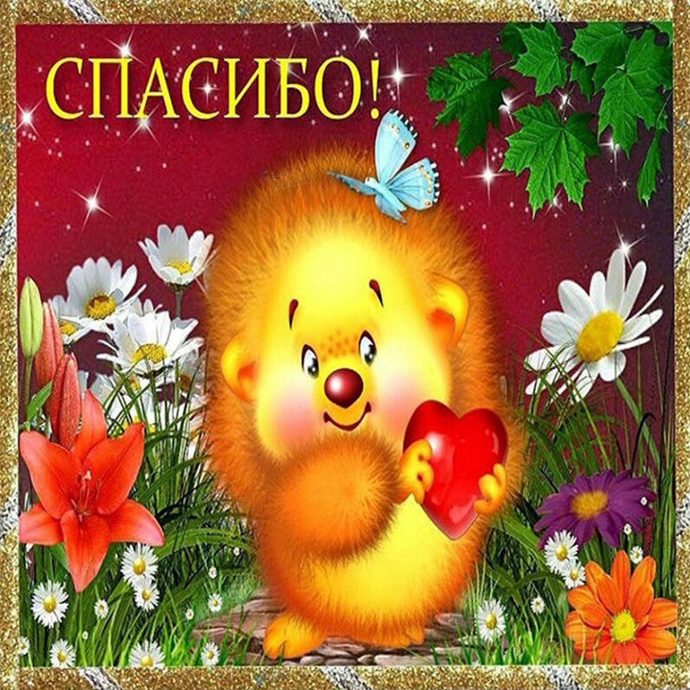 Открытка спасибо Новосибирск