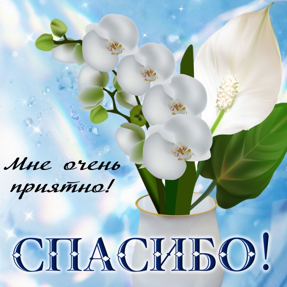 Спасибо картинки