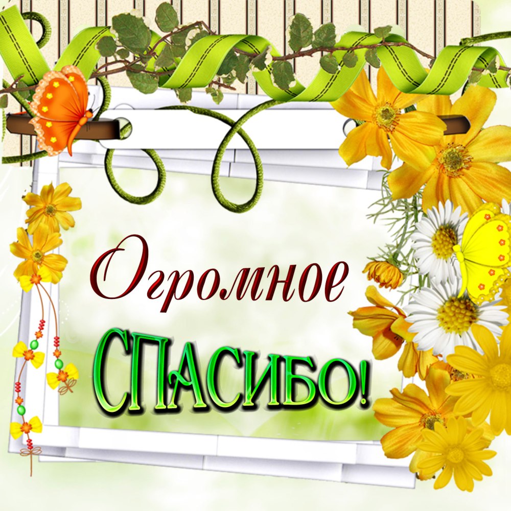 Спасибо официально