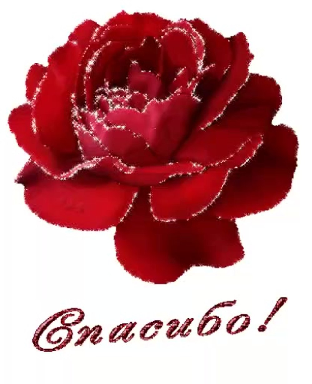Спасибо девочки