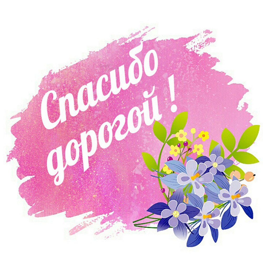 Спасибо дорогая картинки