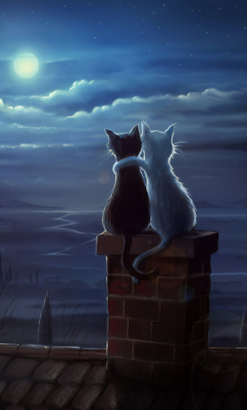Коты на крыше ночью