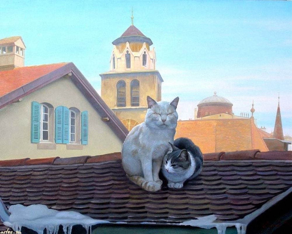 Татьяне Дерий - кошки