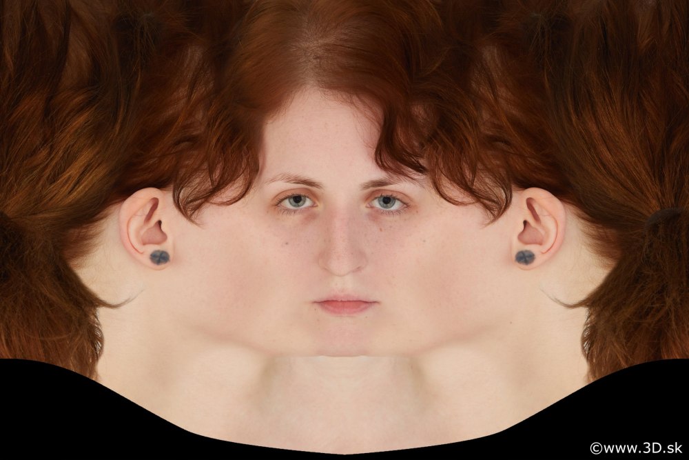 Tmodloader head texture example