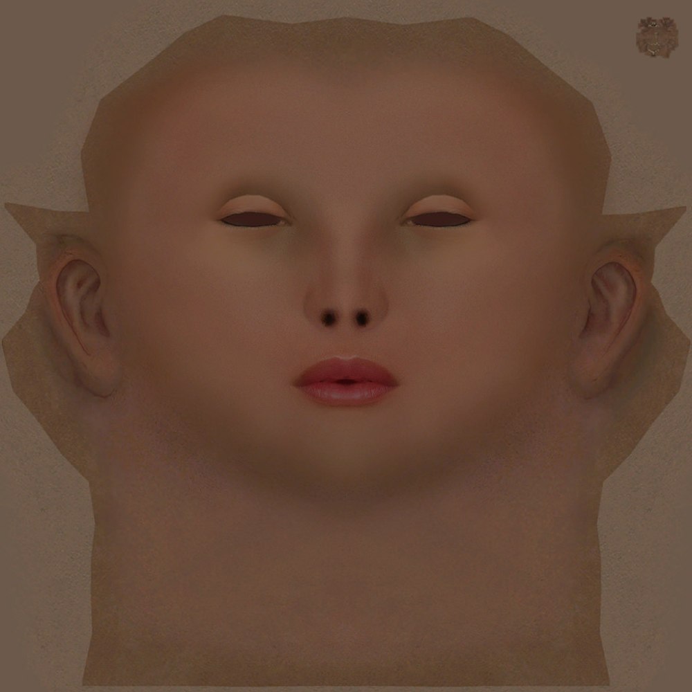 Male head texture