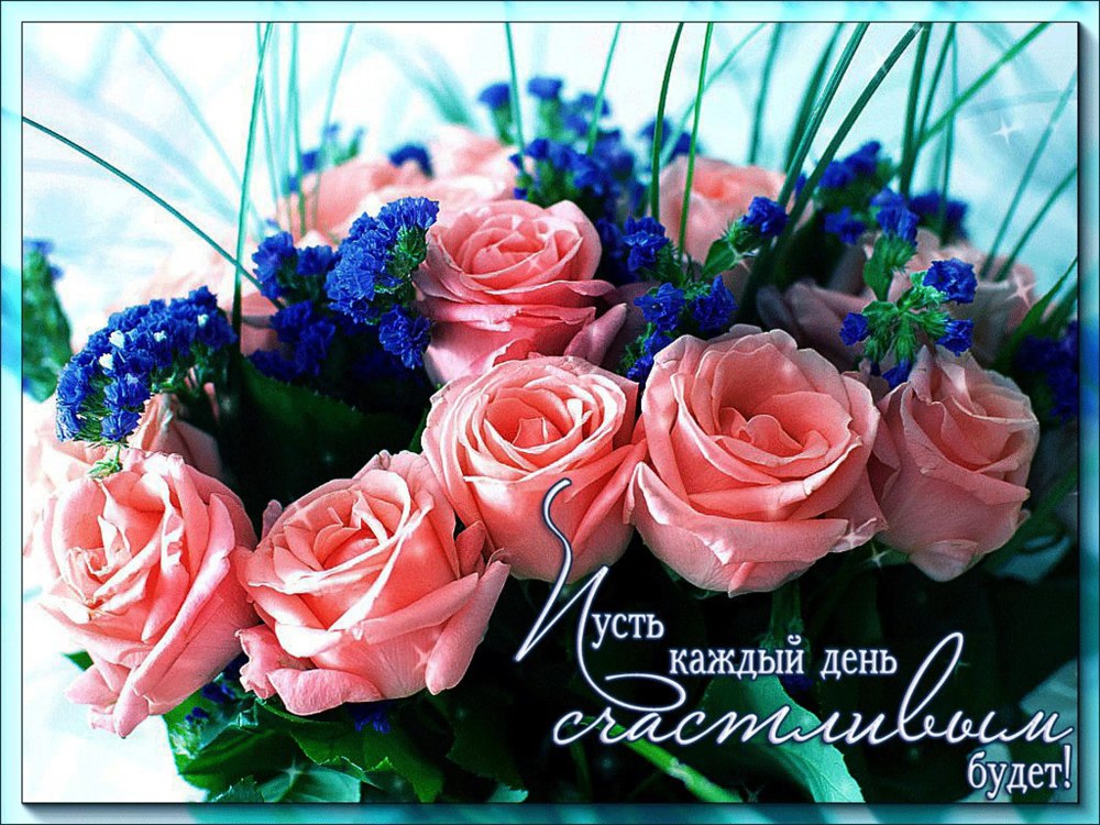 Утренние полевые цветы