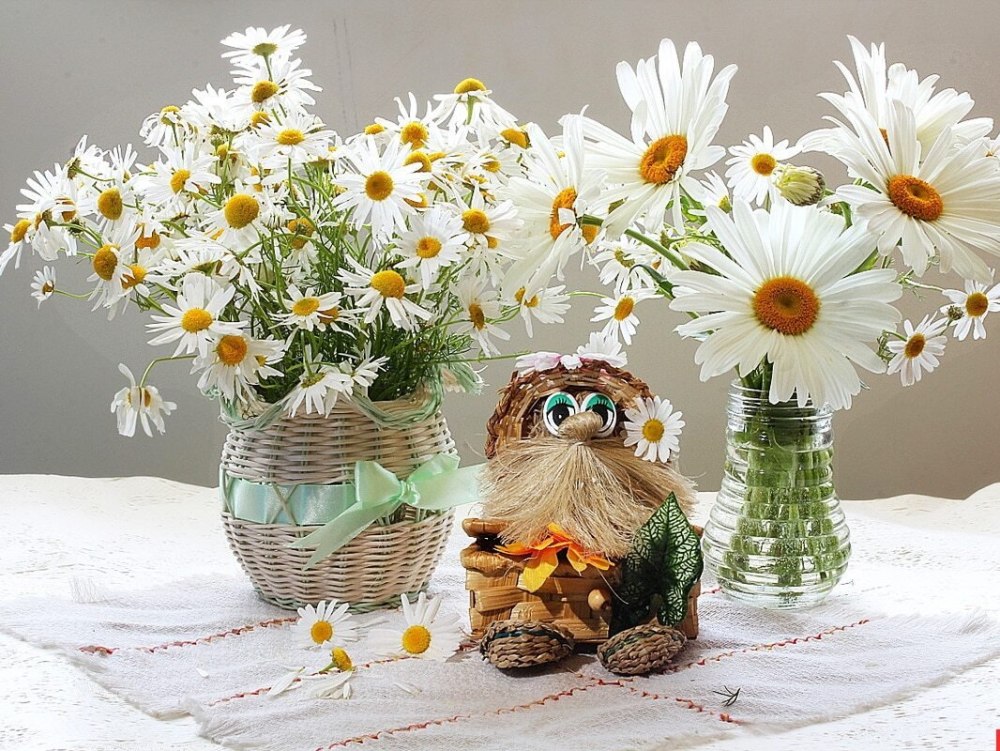 Космея букет