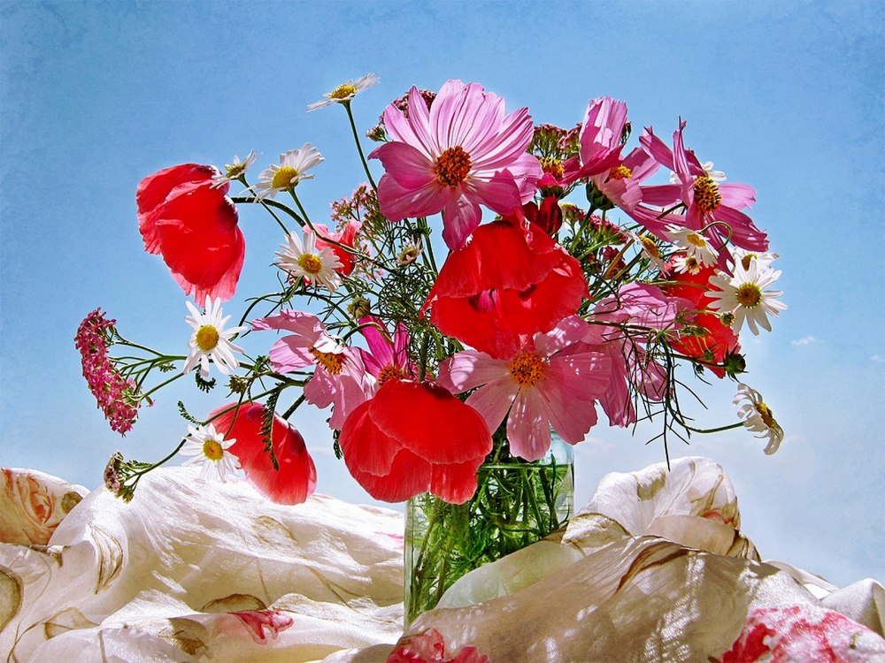 Изящные летние цветы