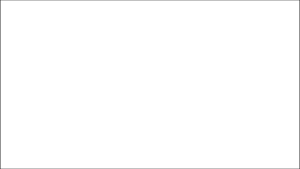 Fotokvant BN-1650 White нетканый фон 1,6х5,0 м белый