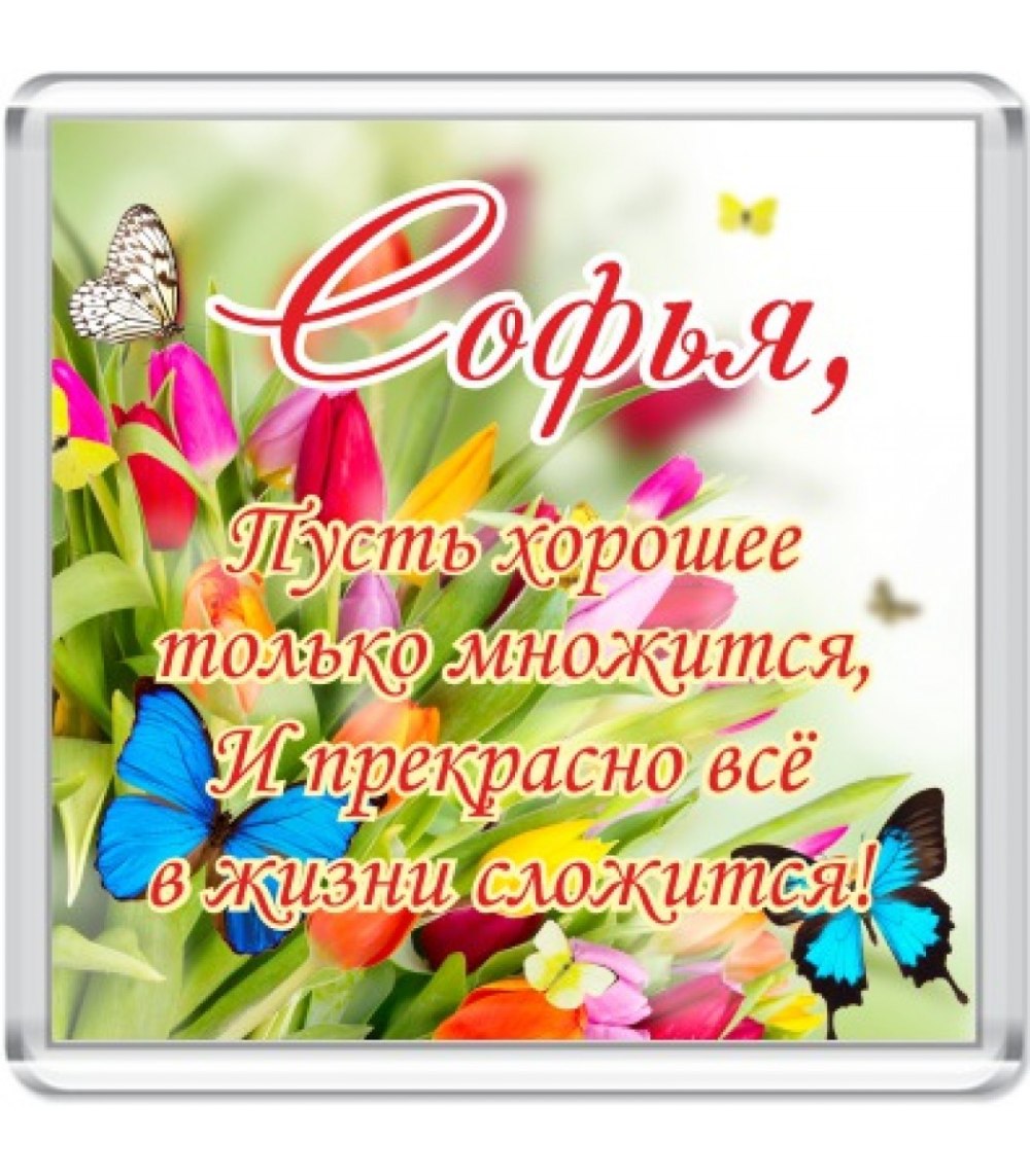 Поздравления с днём рождения Софье