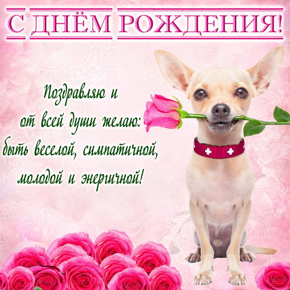 Софа с днем рождения